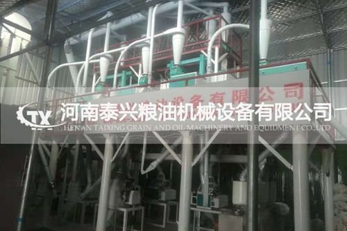 福安磨小麥面生產(chǎn)線配置清單與專業(yè)設(shè)計服務方案